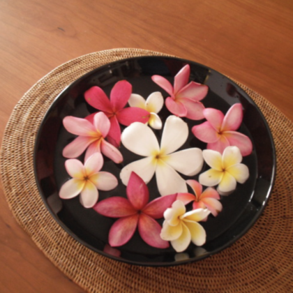 Scentially - Frangipani and Ylang Ylang